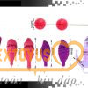 Sextoy cho nữ giá rẻ bộ trứng rung đa năng
