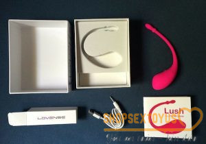 Trứng rung tình yêu Lush Lovense Bluetooth Made in USA tỉnh Ninh Bình